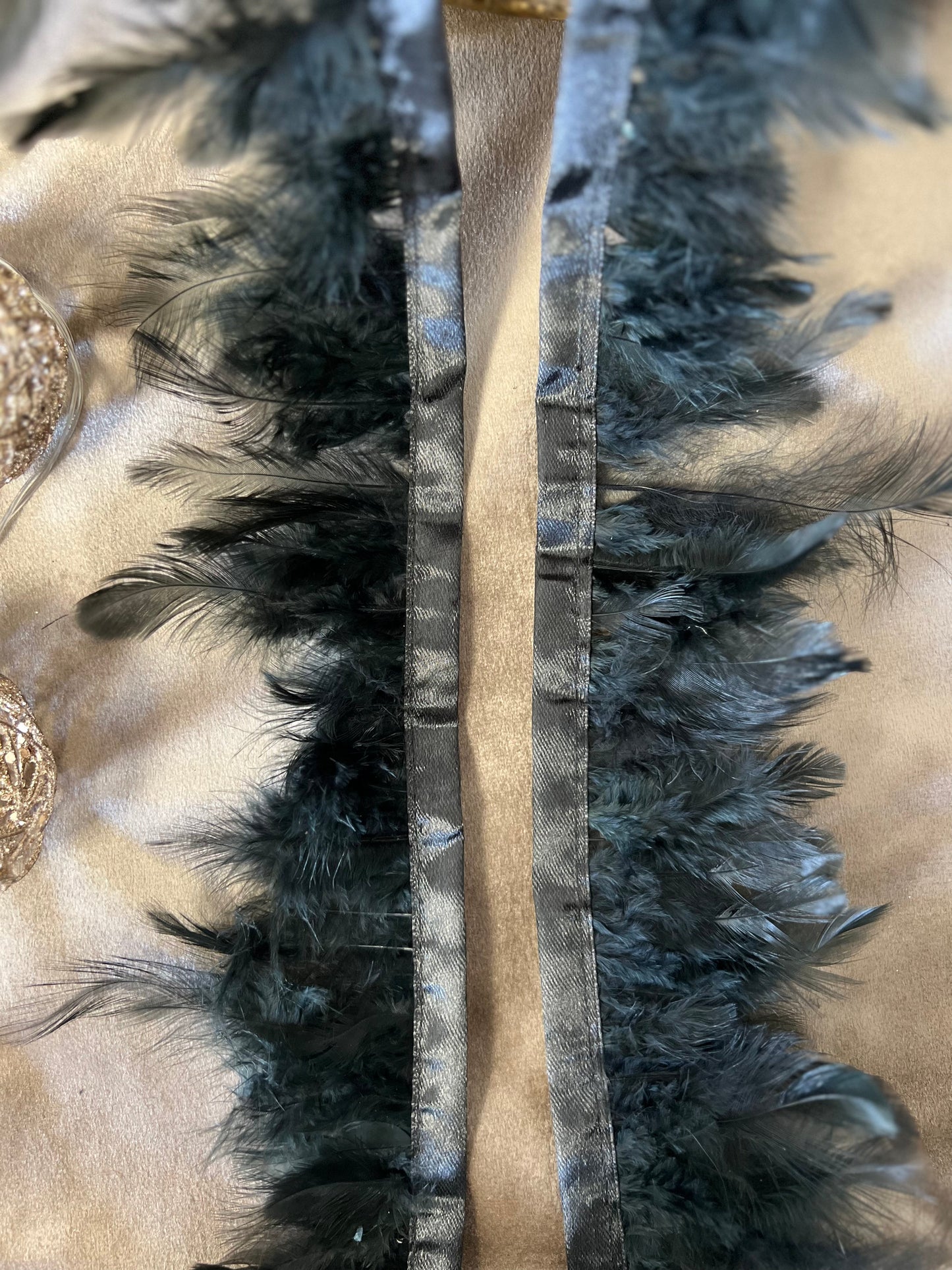 Galon large à plumes