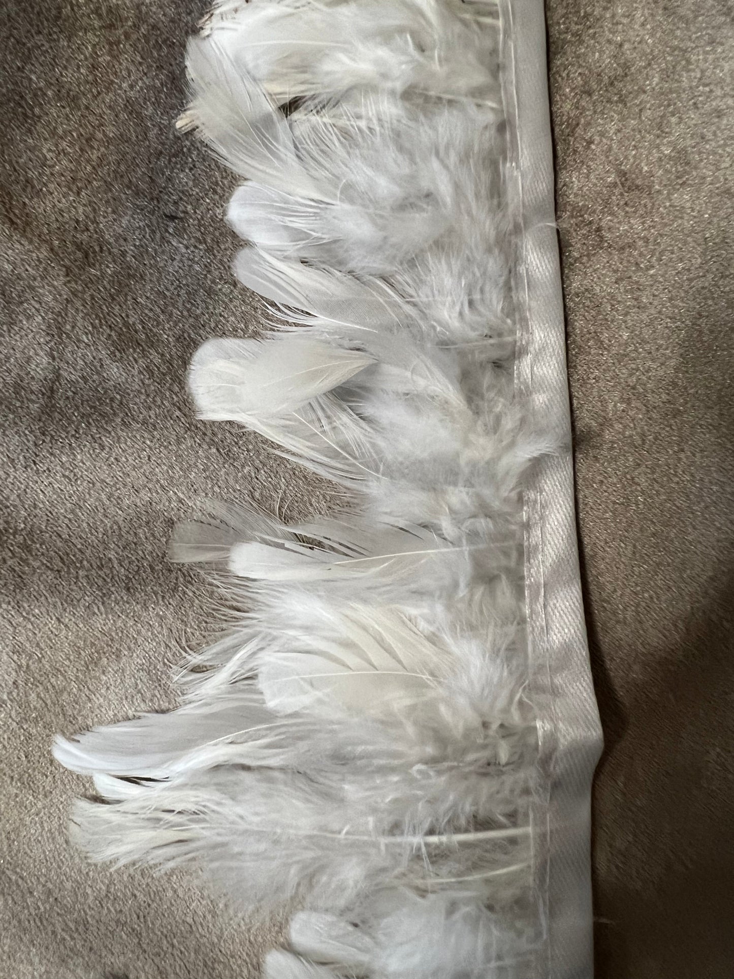 Galon large à plumes