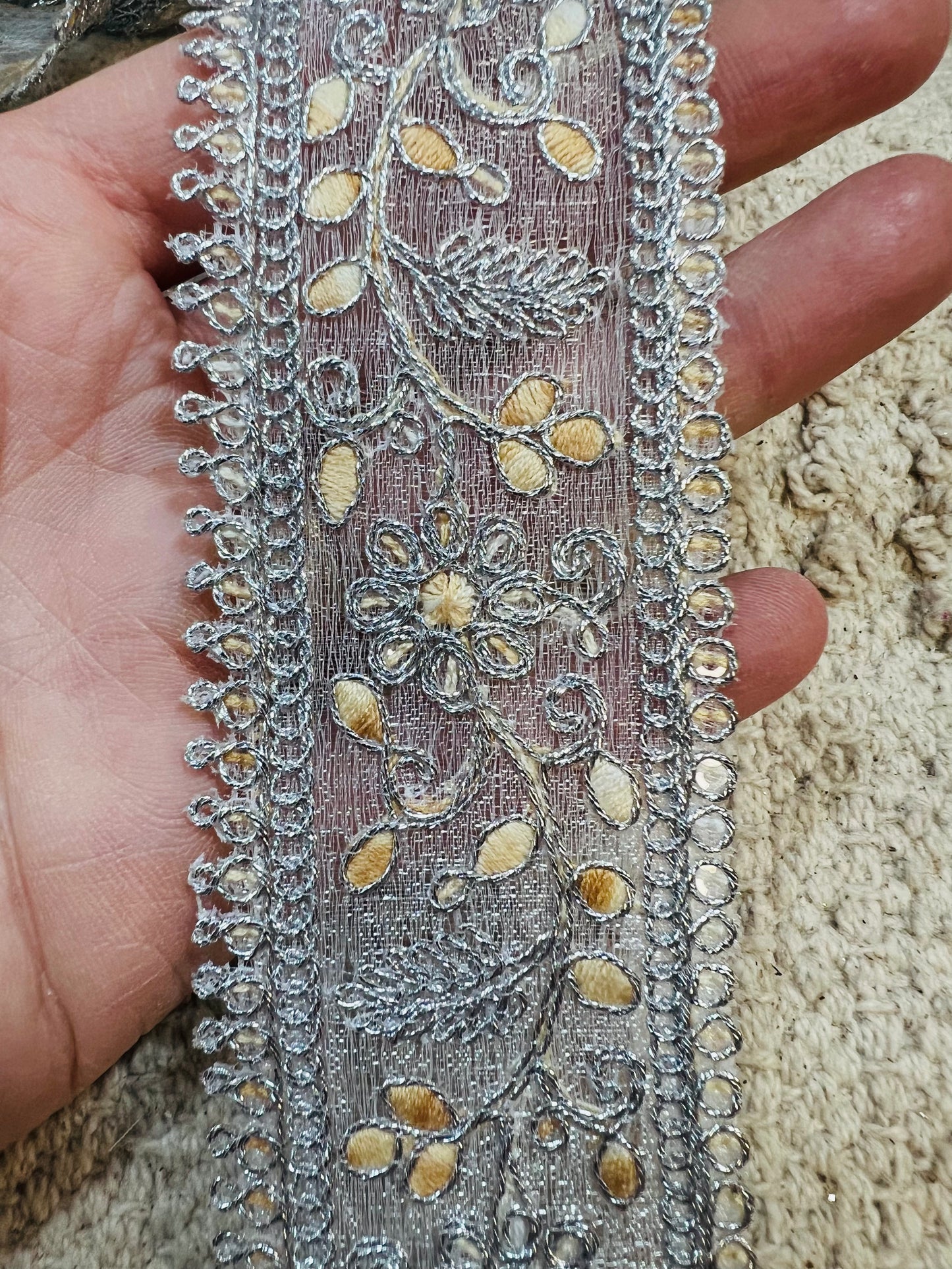 Galon aux fils d'argent et broderie beige