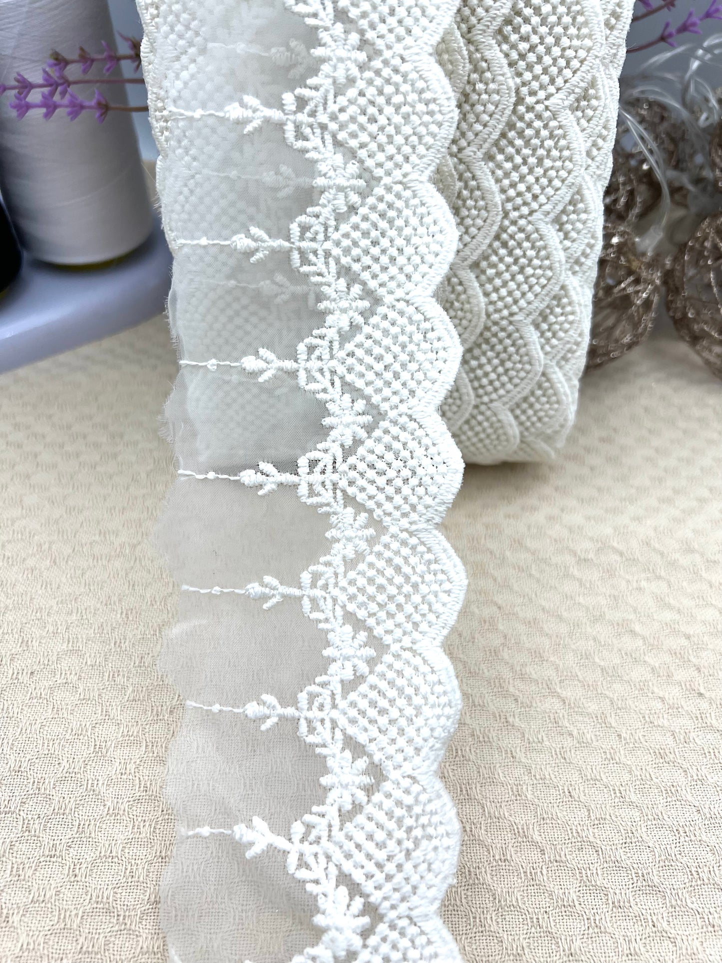 Galon brodé dentelle sur tulle – 3 coloris (rose, vert amande, écru)