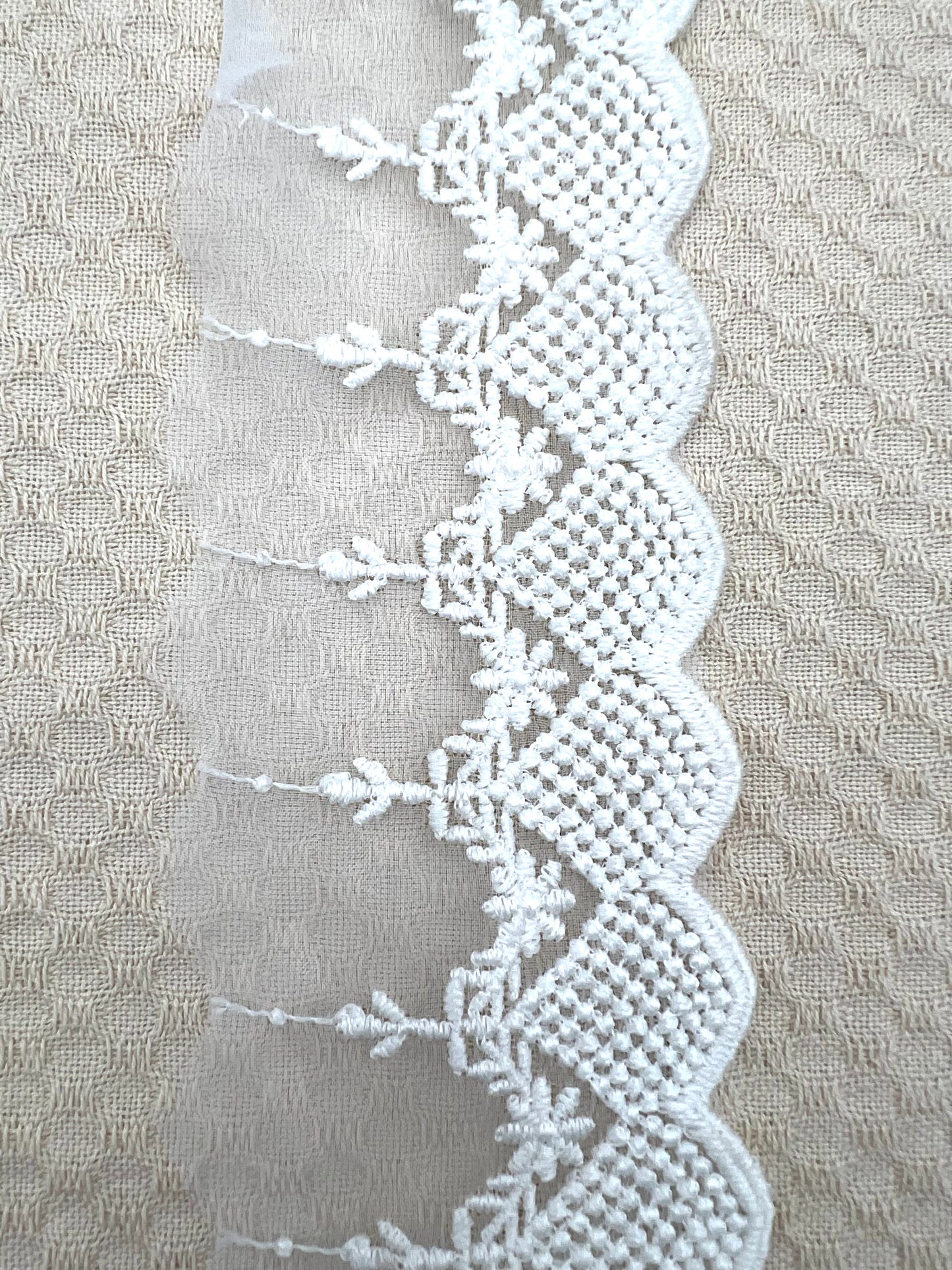 Galon brodé dentelle sur tulle – 3 coloris (rose, vert amande, écru)